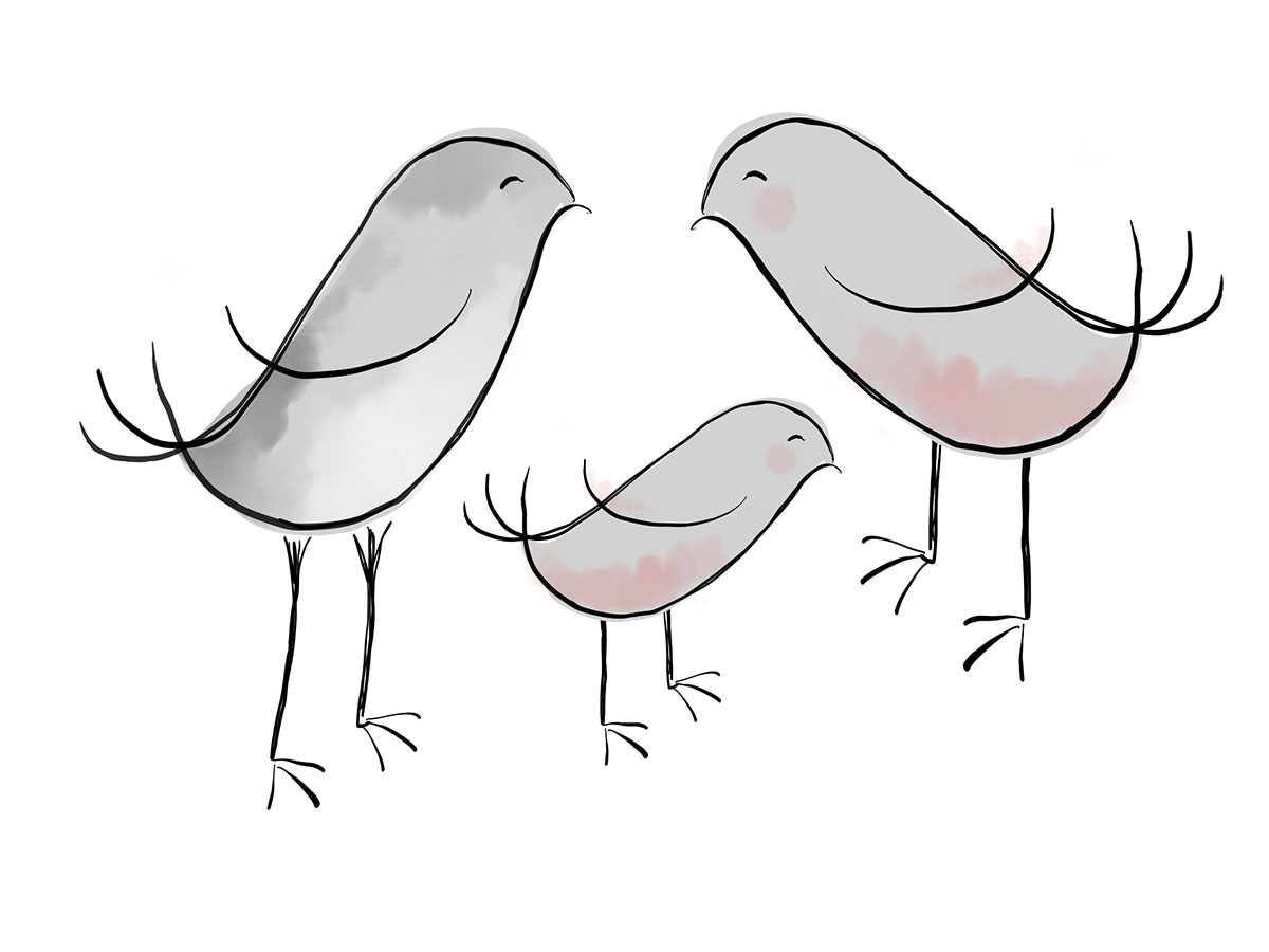 family of birds