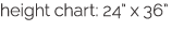 height chart: 24  x 36 