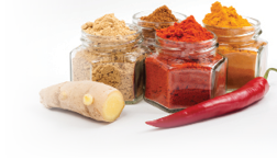 Various spices on a white background